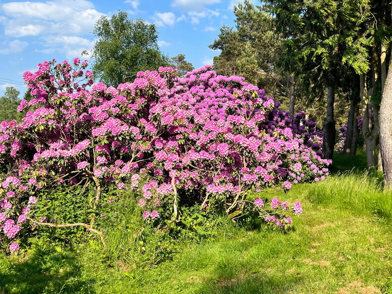 23-06-03 17-42-31 5830